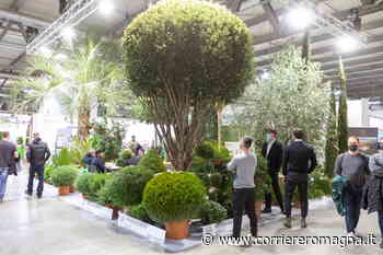 Fiere. Ieg "semina" a Milano Rho acquisendo Myplant and garden - CorriereRomagna
