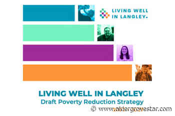 VIDEO: Proposed anti-poverty plan for Langley City and Township now available online – Aldergrove Star - Aldergrove Star