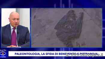 Paleontologia, la sfida di Benevento e Pietraroja: bisogna riprendere gli scavi - Ottopagine