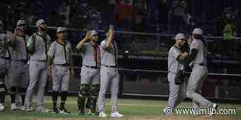 Sultanes: Pericos se impuso en Monterrey en extra innings - Minor League Baseball