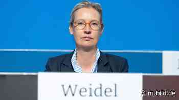 Parteitag in Riesa - Um diesen Peinlich-Antrag wollte sich Weidel drücken - BILD