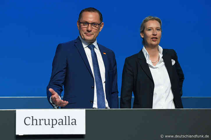 Riesa - AfD-Parteitag wegen Streit um Europa- und Außenpolitik vorzeitig beendet - Deutschlandfunk