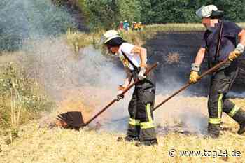 Stoppelfelder bei Biblis in Brand: Sieben Feuerwehr-Fahrzeuge im Einsatz - TAG24