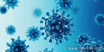 What is going on with coronavirus in the UK? - indy100