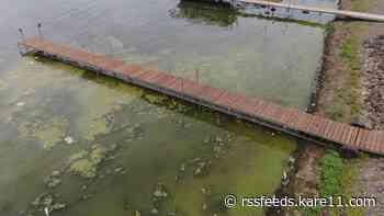 Using water jets to clear algae could make it worse