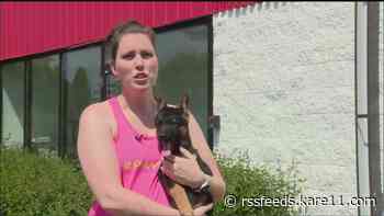 Record heat expected; Tips to keep your pets and those most at risk safe
