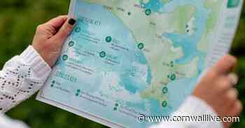 Cornwall families hit by cost of living crisis can now use map to find free wild food - Cornwall Live