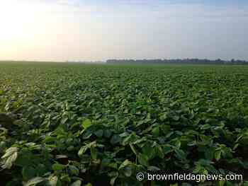 Durham on Planting - brownfieldagnews.com