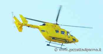 Punto da un calabrone 22enne perde i sensi - Gazzetta di Parma