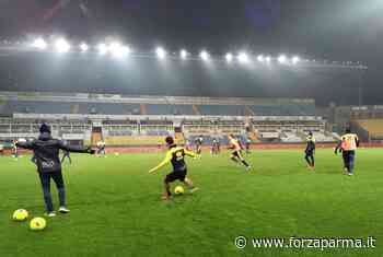 Parma: le date dell'estate gialloblù - Forza Parma