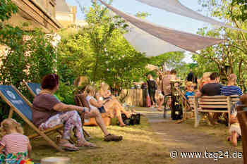 Am Freitag (24.6.) startet das 30. Elbhangfest in Dresden mit diesen Programm-Highlights - TAG24