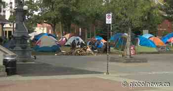 Edmonton looking at managing ‘small-scale’ homeless encampments this summer