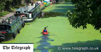 Clean rivers victory as farmers' use of manure is curtailed - The Telegraph