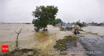 Assam floods: Major rivers in spate, 10 more deaths take toll to 81 - Times of India
