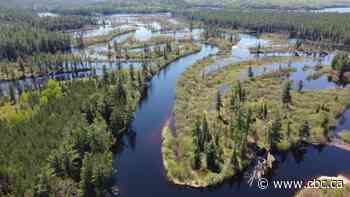 Quebec has plans for new biodiversity reserve along Noire, Coulonge rivers - CBC.ca
