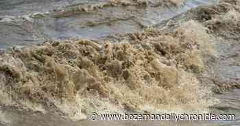 So the Yellowstone and Gallatin rivers flooded – what happened to the fish? - Bozeman Daily Chronicle