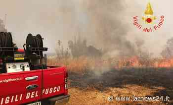 Roghi - Incendi boschivi, fiamme nella zona Sud di Crotone e a Scandale - LaC news24