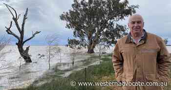 Scientists call for end to dam projects - Western Advocate