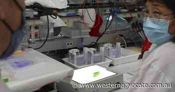 Better vaccines will check COVID strains - Western Advocate