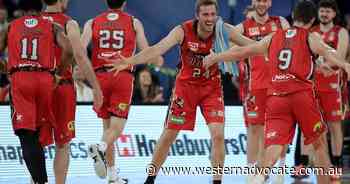 Perth Wildcats sack CEO Troy Georgiu - Western Advocate