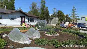 Yellowknife gardener invites seniors to get active - Cabin Radio