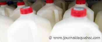 Seconde hausse du prix du lait cette année