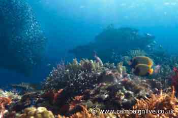 AMV BBDO wins Industry Craft Grand Prix at Cannes Lions 2022 for Sheba’s ‘Hope reef’