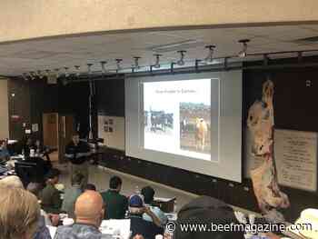 44 Farms International Beef Cattle Academy now accepting applications