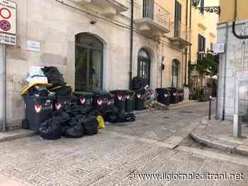 Lungomare, porto e centro storico di Trani, «via i bidoni dalla vista»: domani i sopralluoghi del comitato tecnico - Radio Bombo
