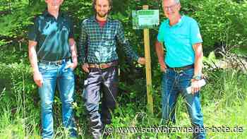 Waldlehrpfad in Ostdorf - Werbung für eine vielfältige Baumvegetation - Schwarzwälder Bote