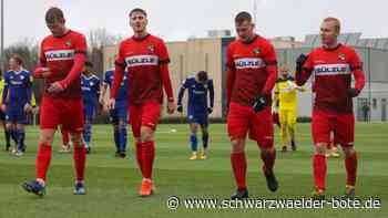Fünftes Jahr Regionalliga - Der neue Kader der TSG Balingen in der Saison 2022/23 - Schwarzwälder Bote