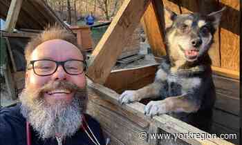 'Animalitarian crisis': Markham vet on a rescue mission to aid Ukrainian refugee pets - yorkregion.com