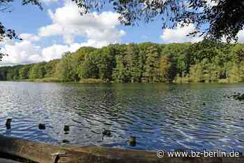 Polizei löst abendliche Partys an Berliner Seen auf - B.Z. – Die Stimme Berlins