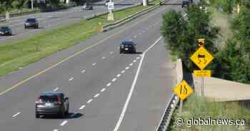 Lawyer representing Red Hill Valley Parkway class-action ‘disappointed’ judge dismissed claim