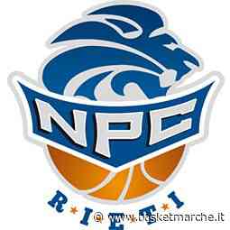 Npc Rieti, in vista del ritorno in A2 si inizia a ragionare sul roster - Serie A2 - Basketmarche.it