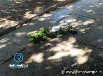 SEI TU IL REPORTER - "A Rieti si continua a gettare rifiuti in terra" - Rietinvetrina