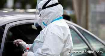 Covid: 31 casi e 13 guariti. Il totale a 750 - Rieti Life