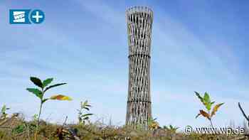 Meschede: Warum der Borkenkäfer in Wohnungsnot gerät - WP News