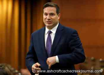 ‘Deepfakes’ and disinformation should fall under online hate law: advisory panel - Ashcroft Cache Creek Journal