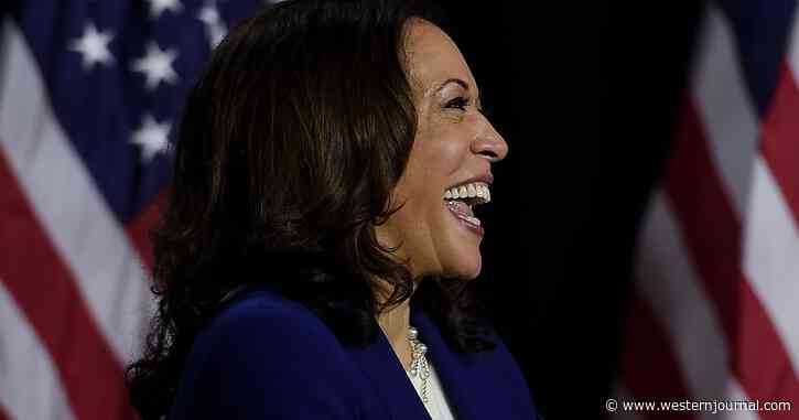 No One Likes Kamala? DNC Cuts Price of Photo with Kamala Harris from $15,000 to $5,000