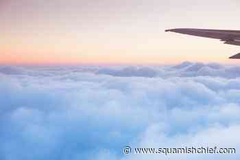 BC court allows cat killer to remove monitoring bracelet for travel - Squamish Chief