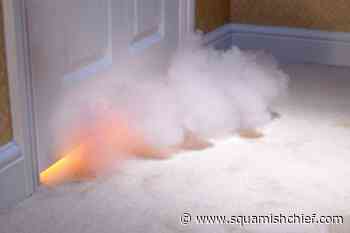 220 fire-related deaths in Canada every year from 2011-2020 - Squamish Chief