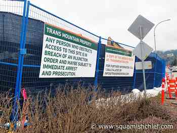 Judge gives BC oil pipeline protester 60 days in jail - Squamish Chief