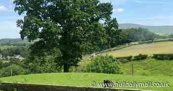 Yorkshire helicopter crash victims aged 16 and 66 named by police - Hull Live