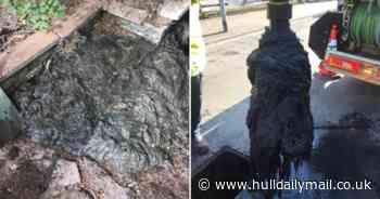 Enormous mass of wet wipes removed from Hull sewer - Hull Live