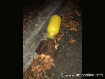 Indiana man who threw Molotov cocktails at police, broke windows in downtown Portland sentenced to 10 years i - OregonLive