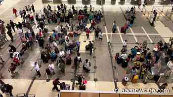 Perfect storm of factors caused chaos at airports