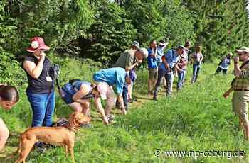 Mehr Artenreichtum im Landkreis Kronach - Dank richtiger Samenwahl zu mehr Ertrag - Neue Presse Coburg