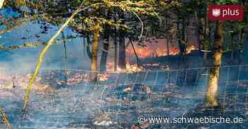 Aktuell hohe Waldbrandgefahr rund um Bad Waldsee - Schwäbische
