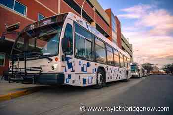 Masks no longer required on Lethbridge Transit as final COVID-19 restrictions ease - My Lethbridge Now